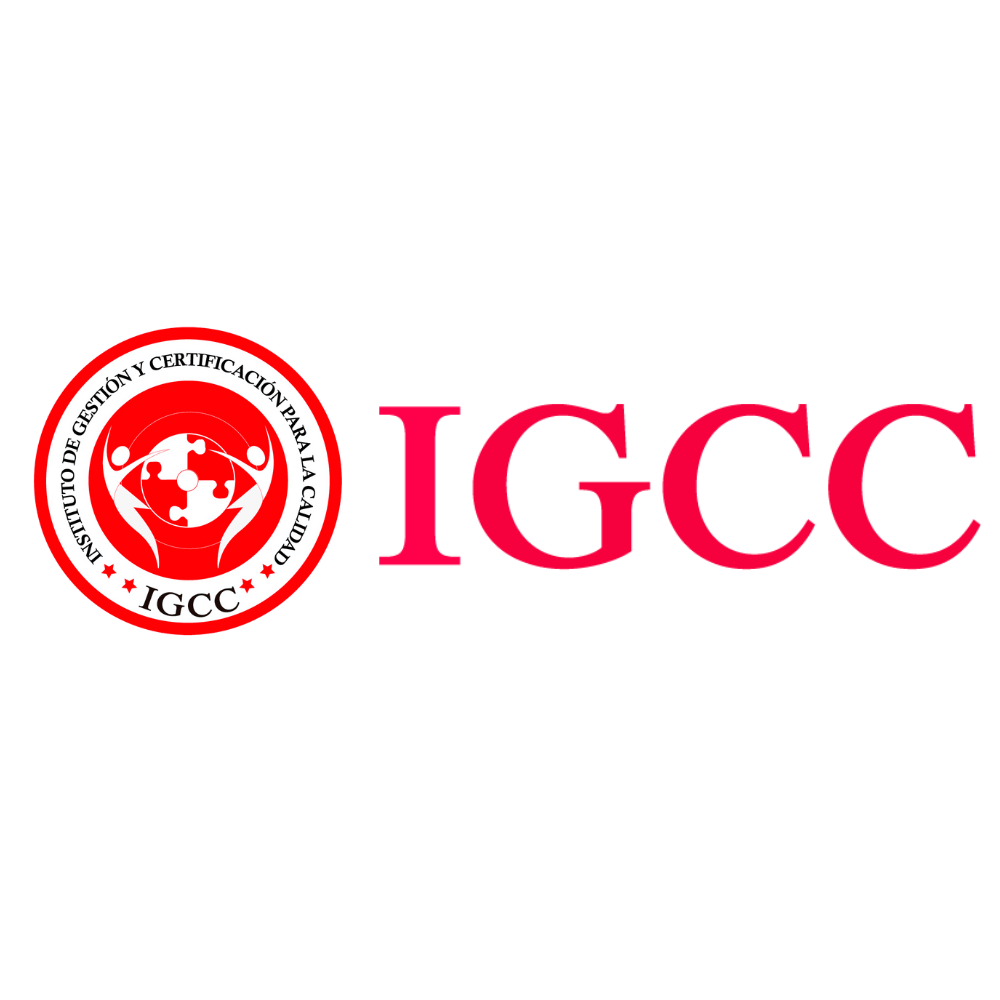 19. IGCC
