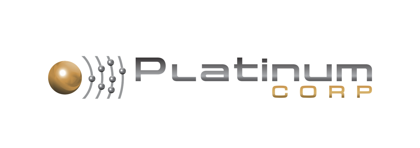 LOGO PLATINUM CORP 594X210 (1)